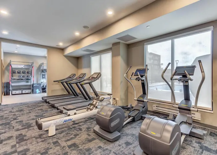 1br W Lounge Pool Gym Nr Metra Chi-865 Apartment *